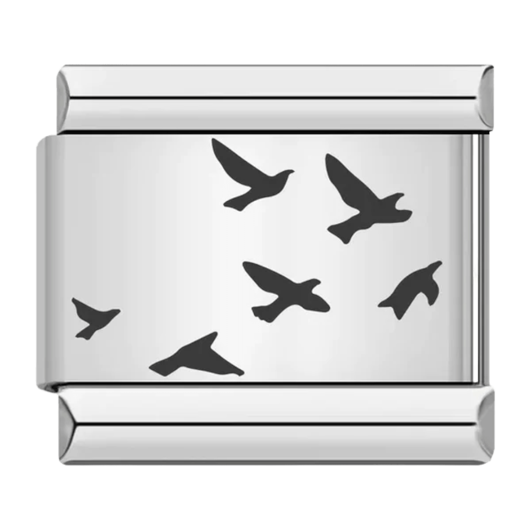 Birds
