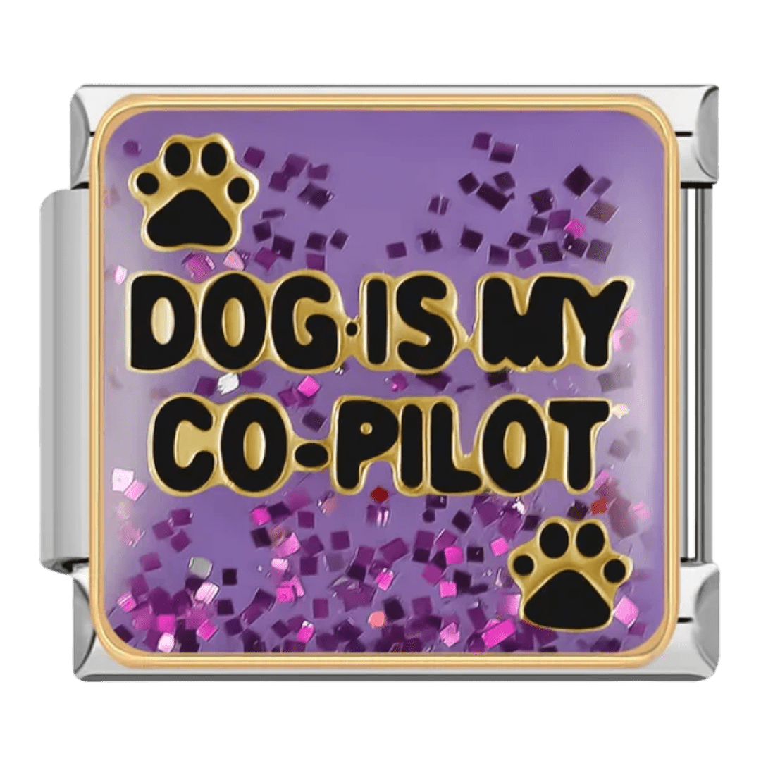 Dog is my co-pilot