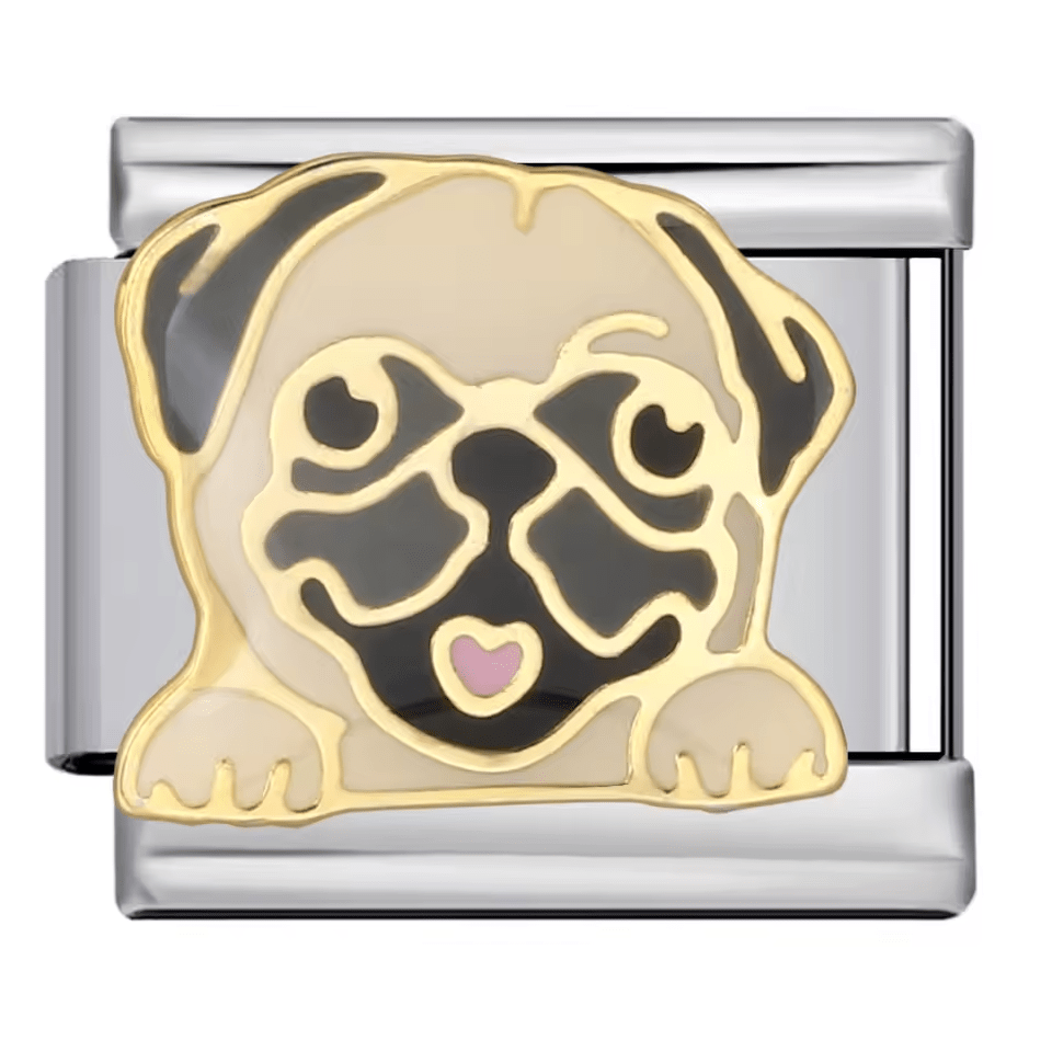Pug