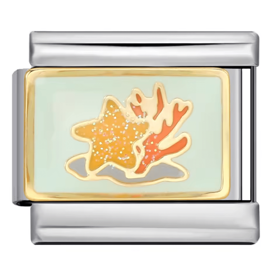 Starfish & Coral