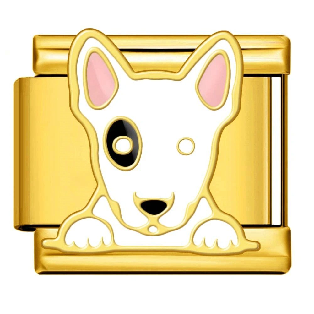 Bull Terrier