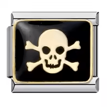 Skull with bones