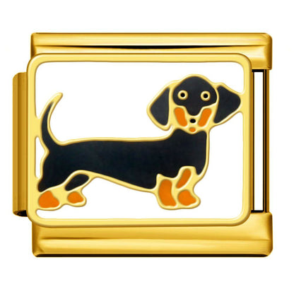 Weiner Dog