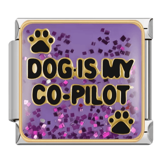 Dog is my co-pilot