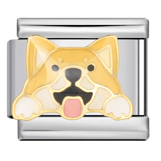 Shibu Inu