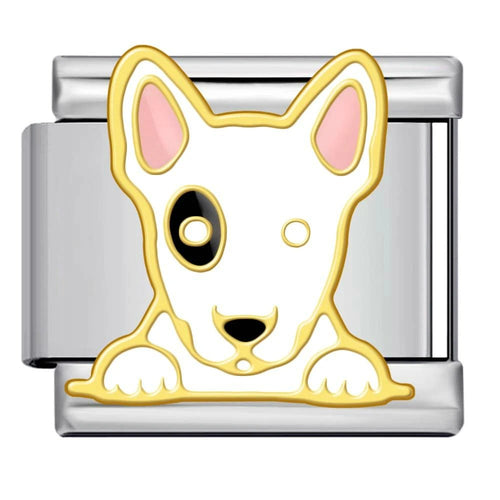 Bull Terrier