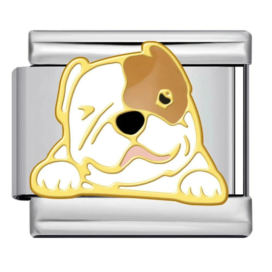 Bulldog