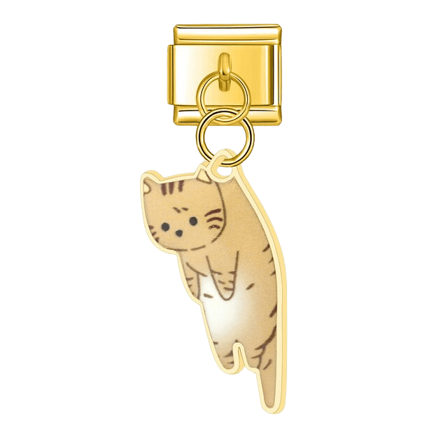 Dangling Tabby Kitten