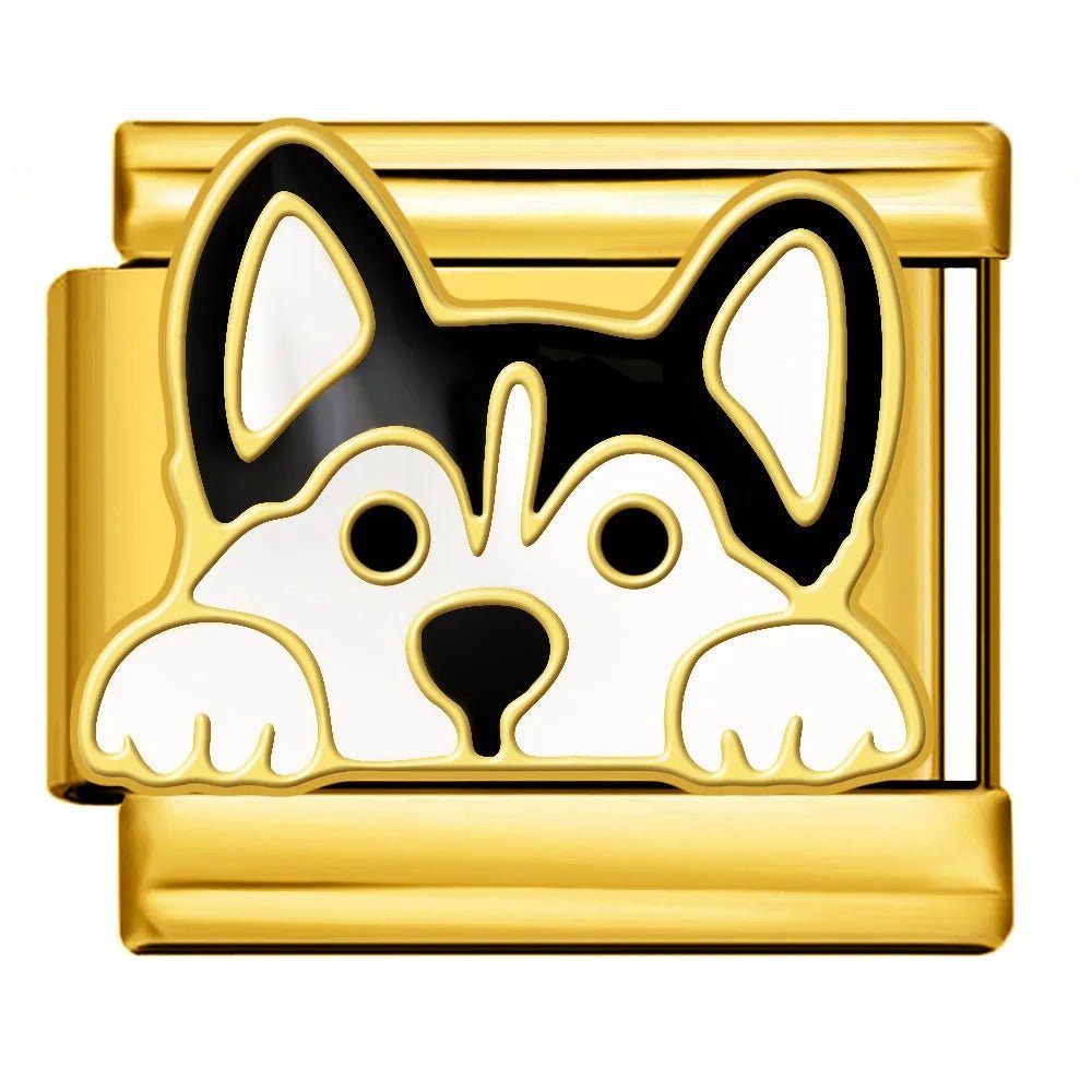 Schnauzer