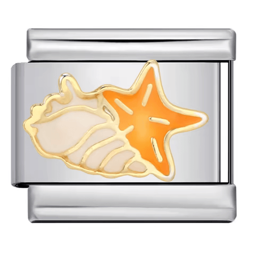 Starfish & Shell