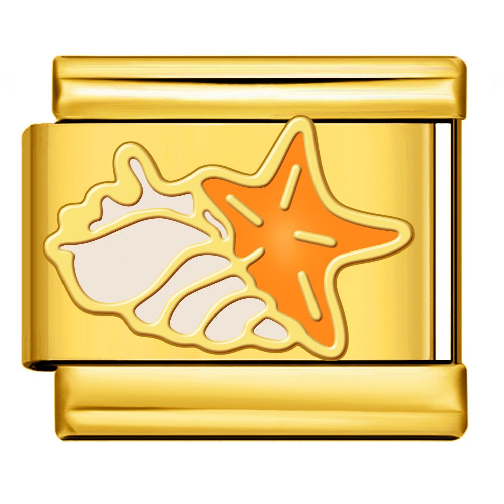 Starfish & Shell